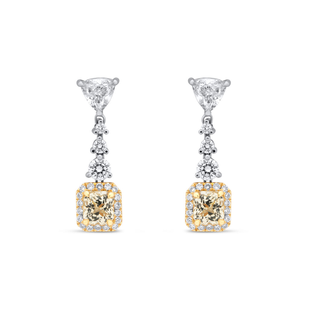 Eclectisme earrings